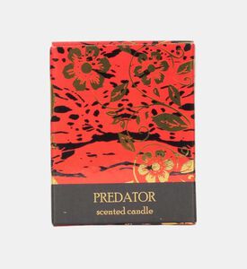 Intensa Pure Cologne 75 Gr