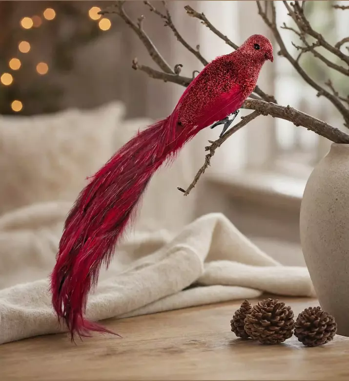 Shishi Flowing Tail Feather Bird 40 Cm, Model View