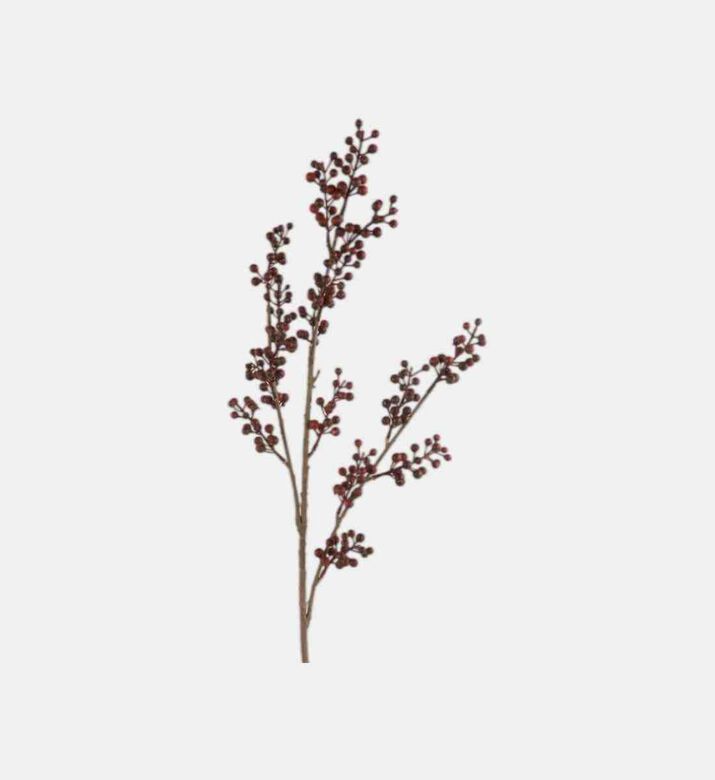 Berry Branch