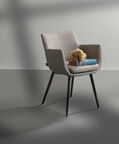 Camron Fabric Dining Arm Chair