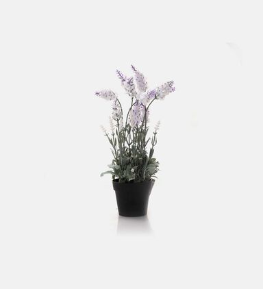 Plastic Lavender Round Pot