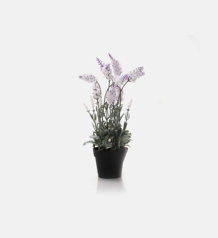 Plastic Lavender Round Pot