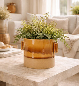 Home Deco and More Porcelain Ears Flower Pot, Orange, 14-cm, Packshot View