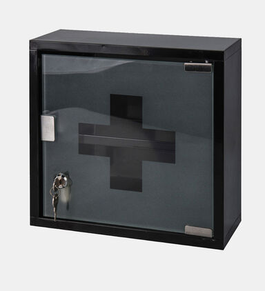 Two Compartment Medicine Cabinet