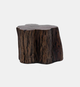Home Deco and More Tefon Acacia Wood Trunk Side Table, Packshot View