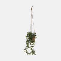 Ceramic Pot Hanging Plants