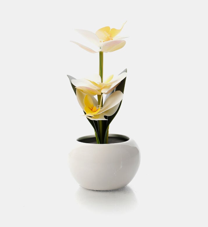 Artificial Led Orchid-in-pot Artificial Led Orchid-in-pot