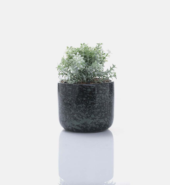 Ceramic Round Plant In Pot