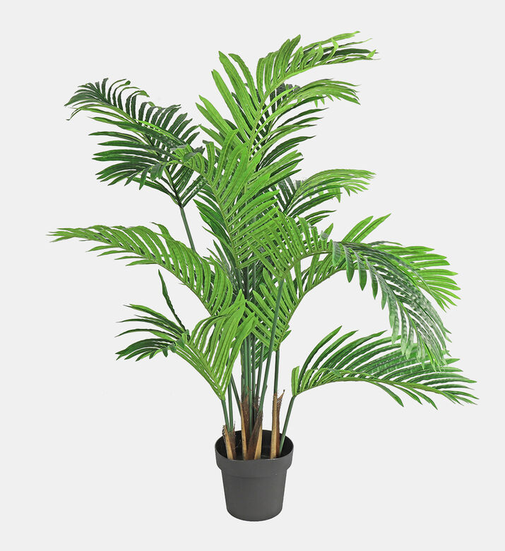 Areca Artifical Plant
