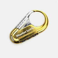 Stainless Steel Master Lock