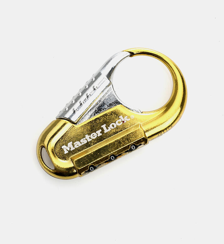 Stainless Steel Master Lock