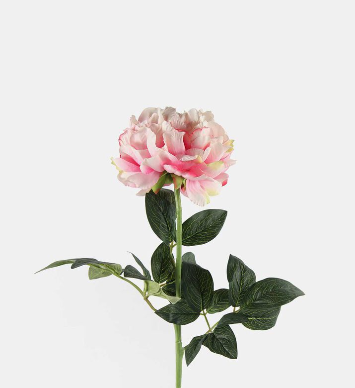 Decostar Paeonia Rosaline Faux Branch, Pink, Packshot View