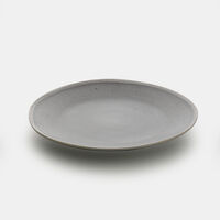 Ceramic Gradient Dinner Plate