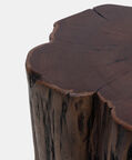 Tefon Acacia Wood Trunk Side Table