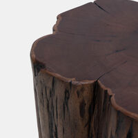 Tefon Acacia Wood Trunk Side Table