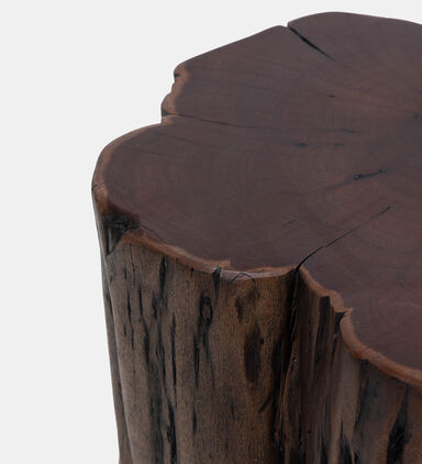 Tefon Acacia Wood Trunk Side Table