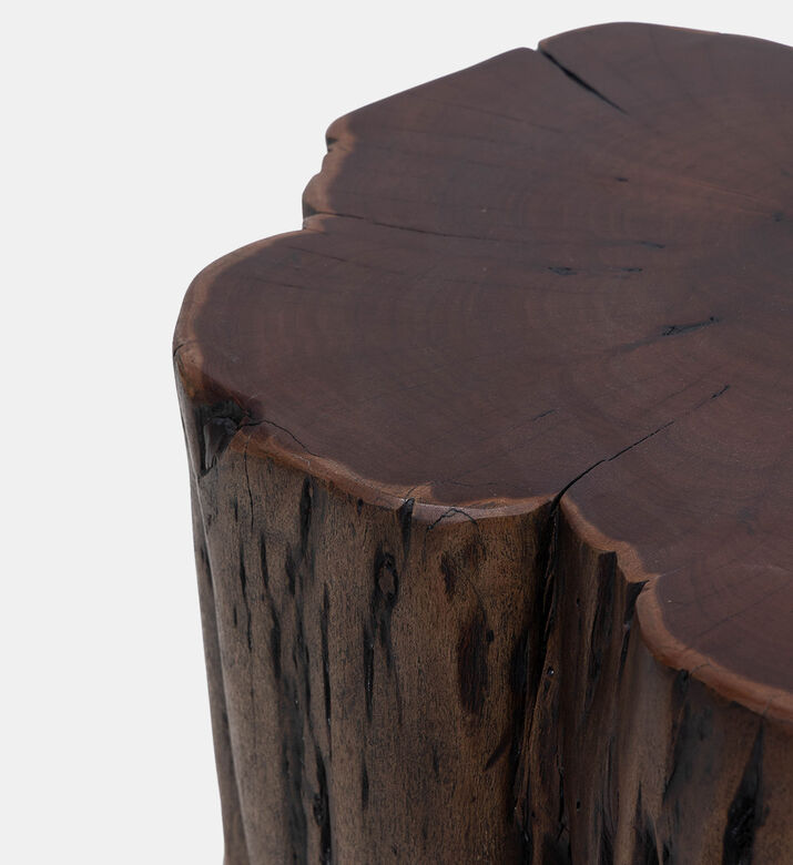 Tefon Acacia Wood Trunk Side Table