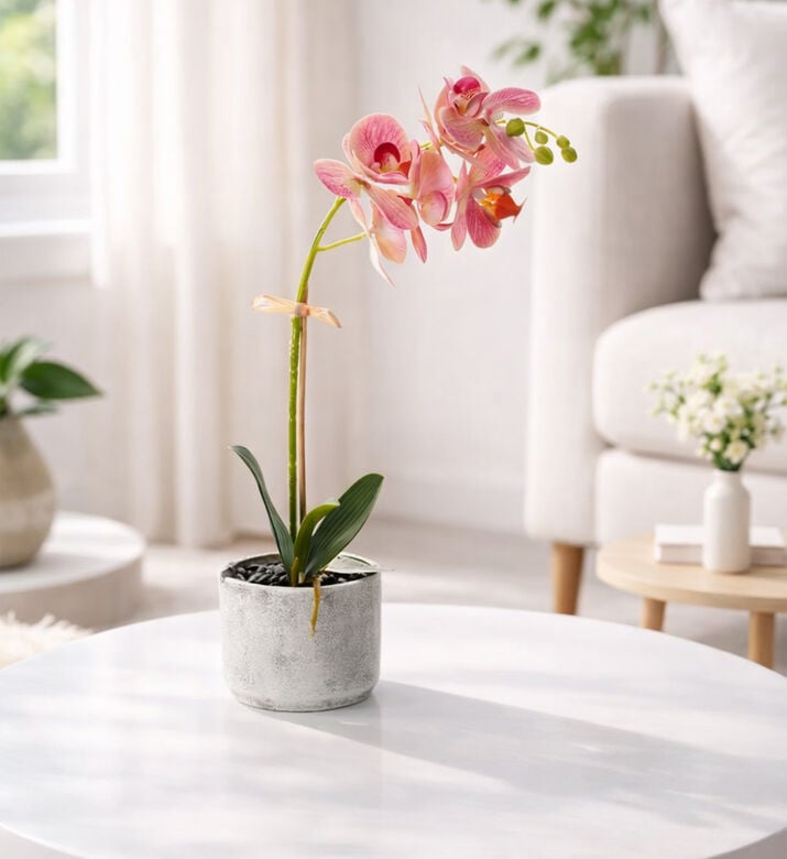 Home Deco and More Artificial Orchid Flower, Packshot View