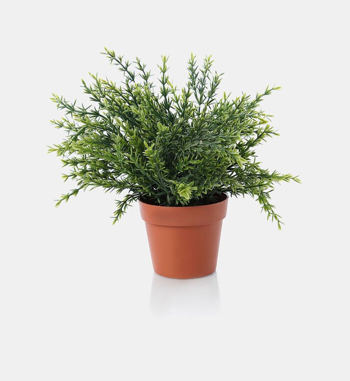 Home Deco and More Artificial Plant-in-pot, Packshot View