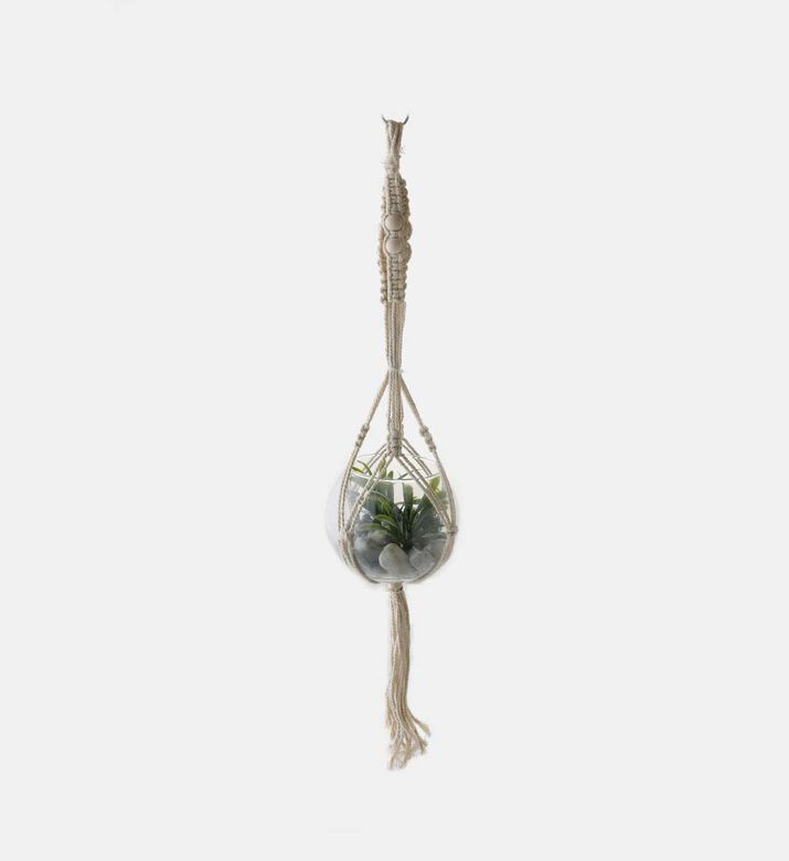 Decorative Hanging Glass Plant Pot