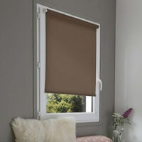 Cordless Daylight Roller Blind