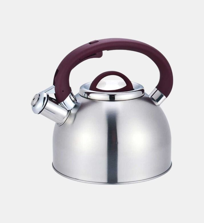 Stainless Steel Whistling Kettle Stainless Steel Whistling Kettle