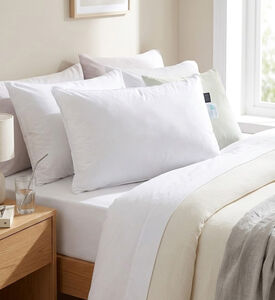 Home Deco and More Ted Microfiber Pillow, Packshot View