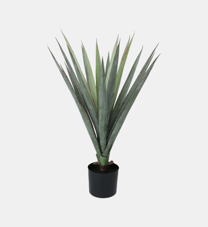 Home Deco and More Artificial Sisal Plant-in-pot, Packshot View