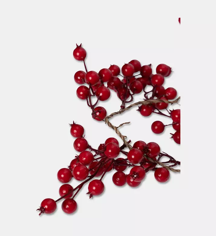Shishi Flexible Stem Berry Garland, Packshot View