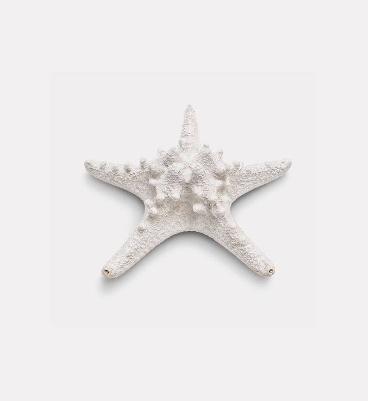 Home Deco and More Seastar Design Decorative Piece, Packshot View