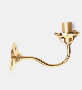 Stainless Steel Gooseneck Wall Lamp