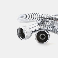 Flex Inkaflex Chrome Shower Hose