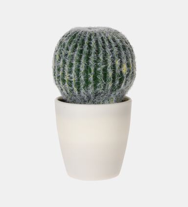 Artificial Plant Pot
