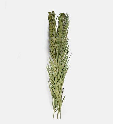 Natural Khajur Leaves Decoration