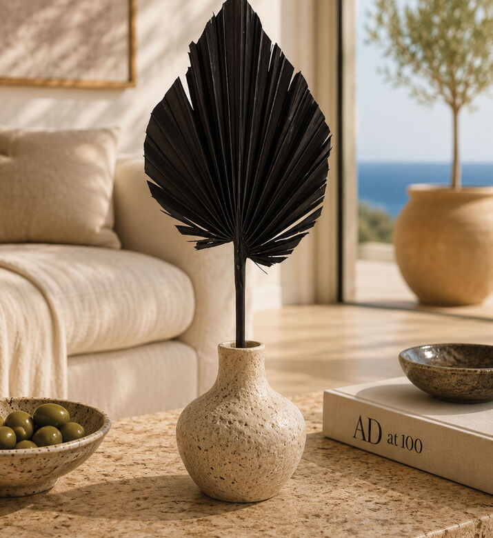 Home Deco and More Dried Natural Palm Spears, Black, 45-cm, Packshot View