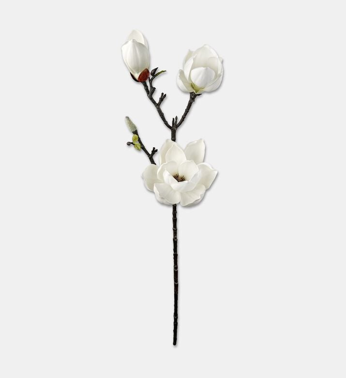 Shishi Branch Magnolia, White, 75-cm, Packshot View