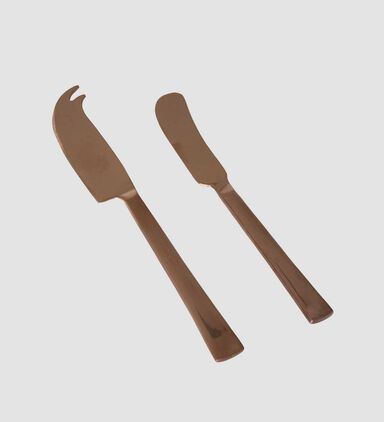 Stainless Steel Cheese Knife 2-piece Set
