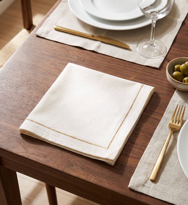 Home Deco and More Chic Embroidered Napkin, Model View