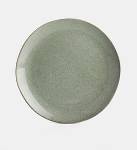 Porcelain Washed Dinner Plate