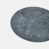 Glass Tree Trunk Printed Plate 24cm
