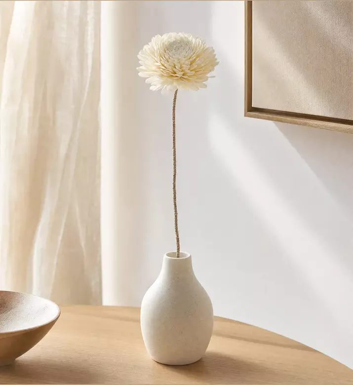 Shishi Dried Sola Flower 100 Cm, Model View