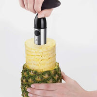 Stainless Steel Pineapple Slicer