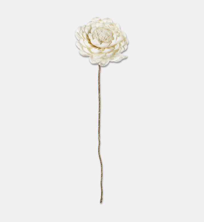 Shishi Dried Sola Peony, Packshot View