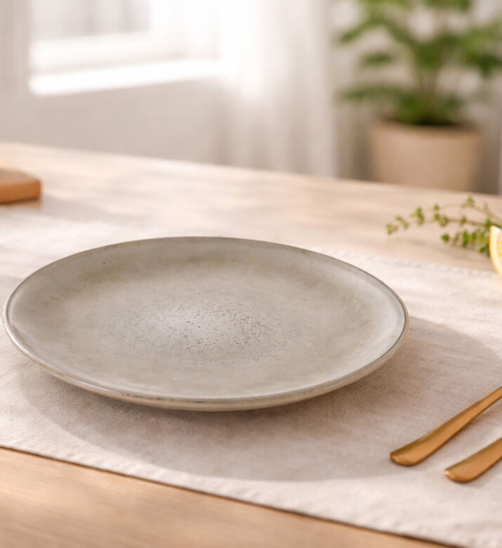 Home Deco and More Rustic-inspired Dinner Plate, Packshot View