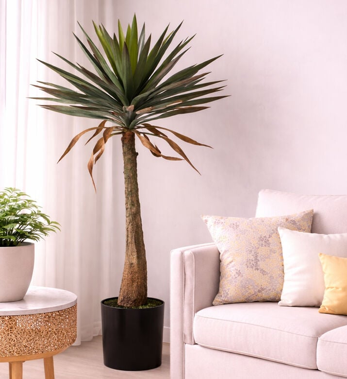 Home Deco and More Artificial Yucca Tree, Packshot View