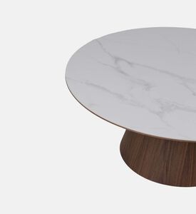 Snow Walnut Ceramic Walnut Coffee Table