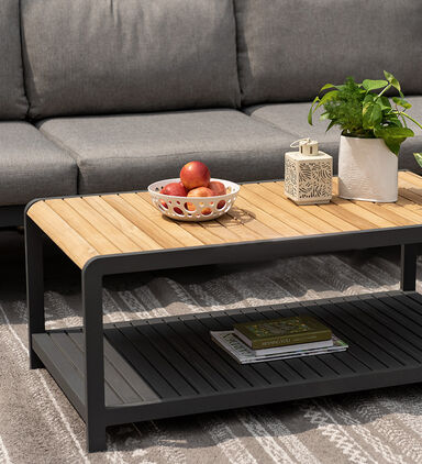 Amber Teak Wood Salon Set