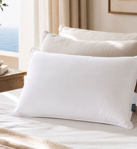 Home Deco and More Ted Soft Touch Pillow S2, Packshot View