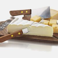 Taste Stainless Steel Brie Knife