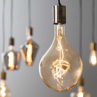 Asym D16 Led Light Bulb